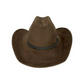 brown cowboy hat