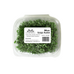 Sango Radish Microgreens