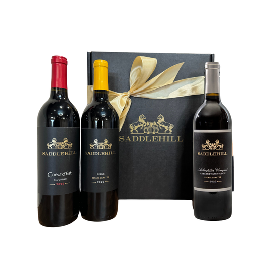 Red Wine Gift Set