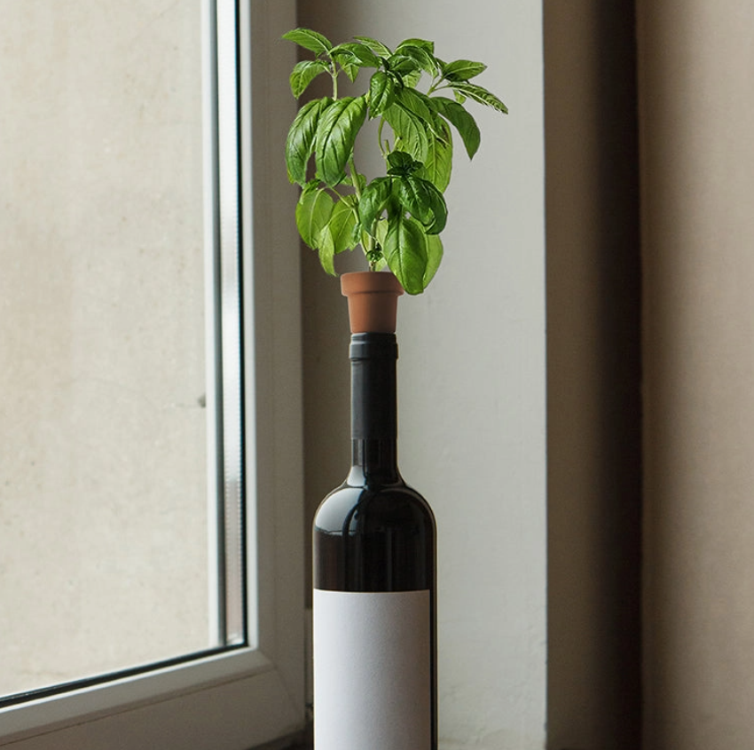 Herb Planters