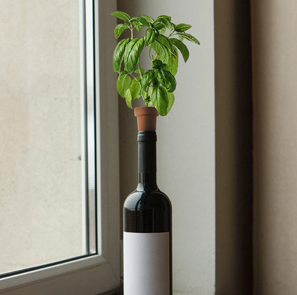 Herb Planters